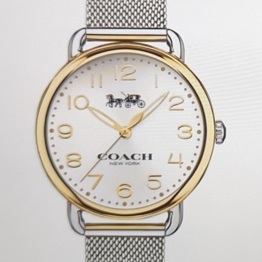 ❤️Pretty Coach Delancey Two Tone Mesh Stainless Steel Watch❤️